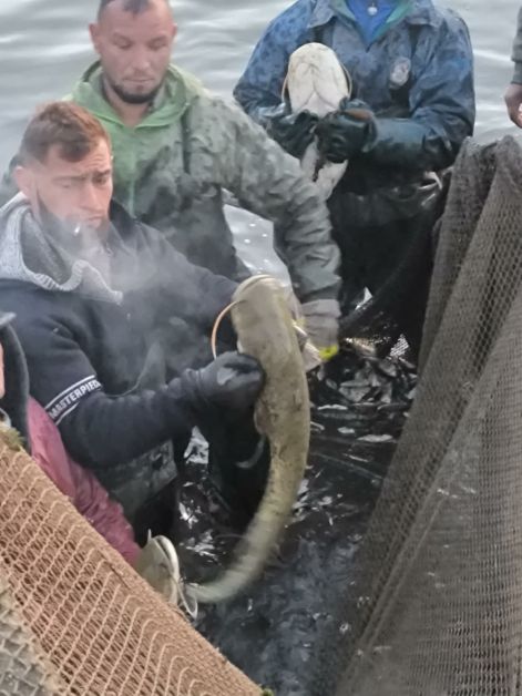 messenger_creation_4097c894-08ac-40a4-ab76-8e9a29373cc4.jpeg messenger_creation_4097c894-08ac-40a4-ab76-8e9a29373cc4.jpeg