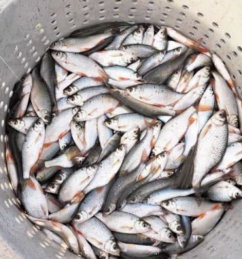 messenger_creation_996d5cfa-da3f-4cc9-a740-7218035c0539.jpeg messenger_creation_996d5cfa-da3f-4cc9-a740-7218035c0539.jpeg